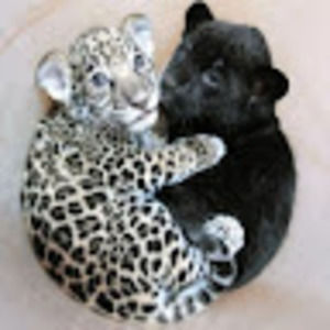 Meet your Posher, Jane